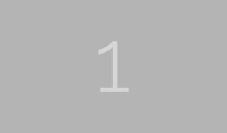 Cras iaculis ultricies nulla